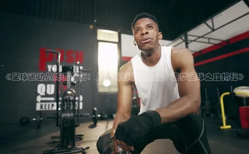 新宝登录app入口手机版雷柏科技《足球运动员陈瀚简历：从青训到职业生涯，逐梦足球之路揭秘》