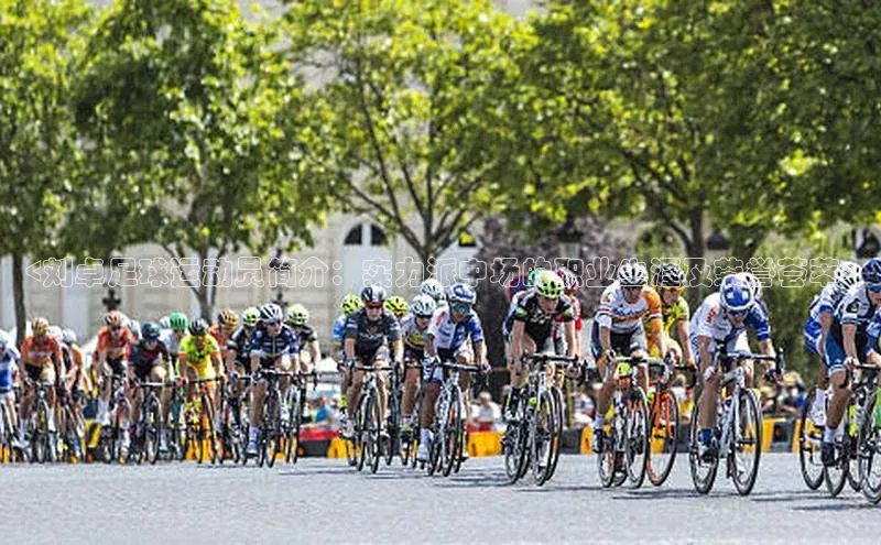 新宝登录app入口手机版如流<刘卓足球运动员简介：实力派中场的职业生涯及荣誉荟萃>