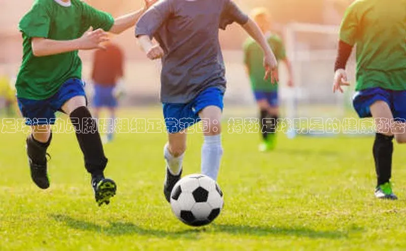 新宝gg一键登录百度智能云足球运动员脚踝粗细正常范围：揭秘足球明星的健康秘密