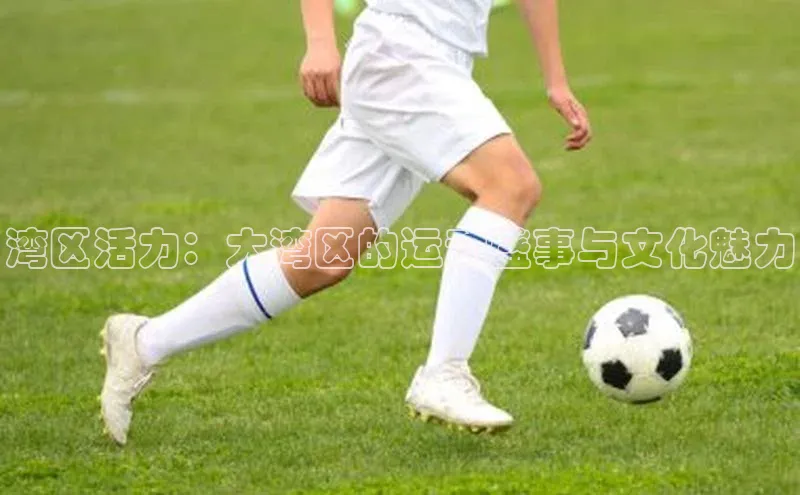 新宝gg创造奇迹平台总代理普信公司湾区活力：大湾区的运动盛事与文化魅力