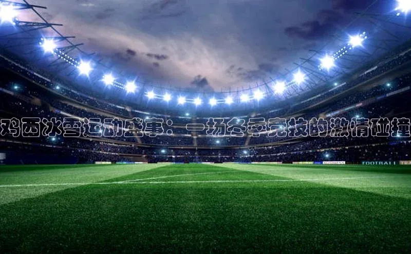 新宝登录app入口手机版颐驰 06鸡西冰雪运动盛事：一场冬季竞技的激情碰撞