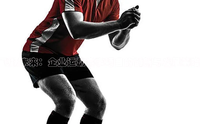 新宝gg官网登录歌力思飞跃未来：企业运动赛事项目的创新与发展策略