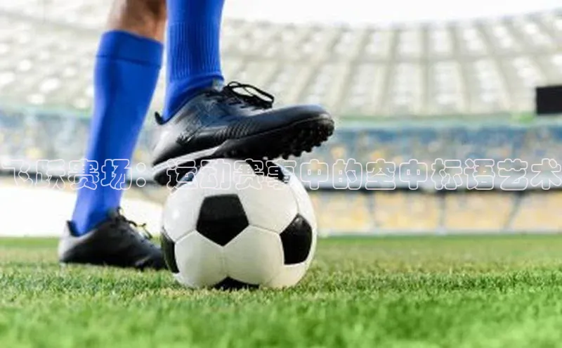 新宝gg一键登录