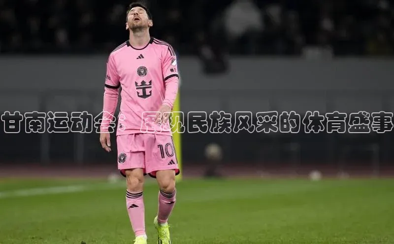 甘南运动会：展现民族风采的体育盛事