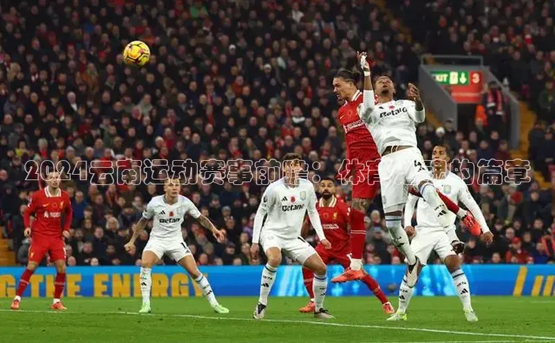 2024云南运动赛事前瞻：体育之魂的篇章