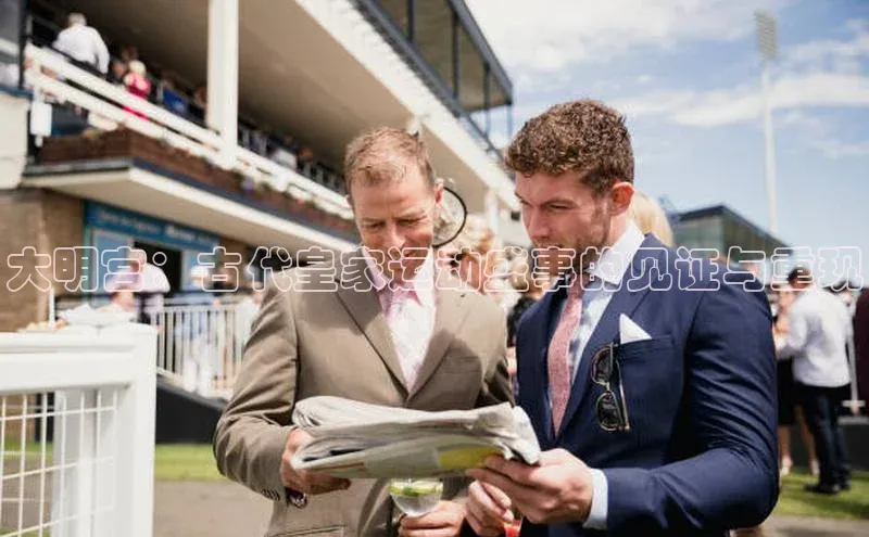 新宝网站登录入口