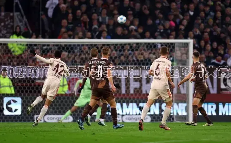 动感瞬间：运动赛事加油牌精选图片大赏