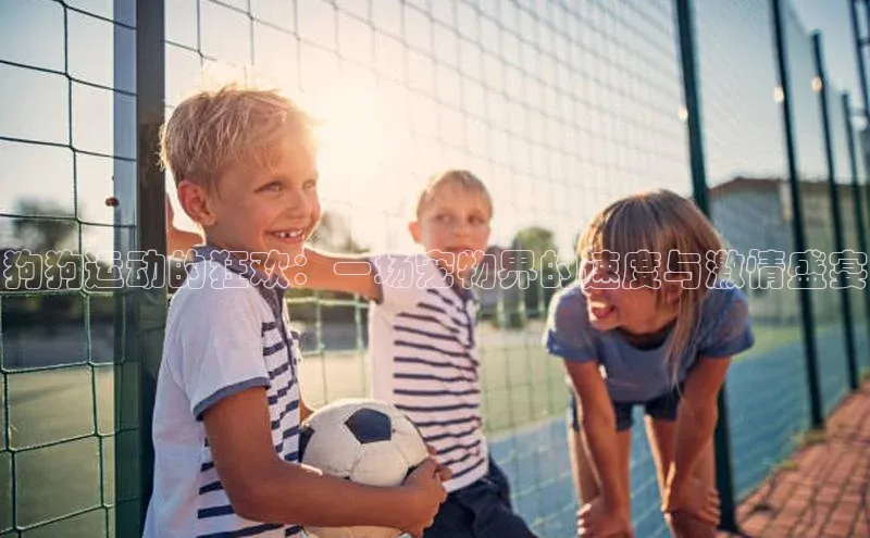 狗狗运动的狂欢：一场宠物界的速度与激情盛宴