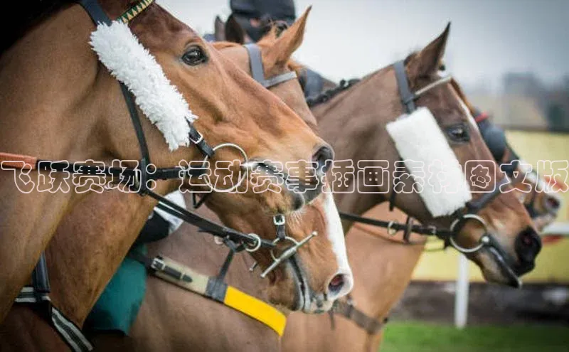 飞跃赛场：运动赛事插画素材图文版