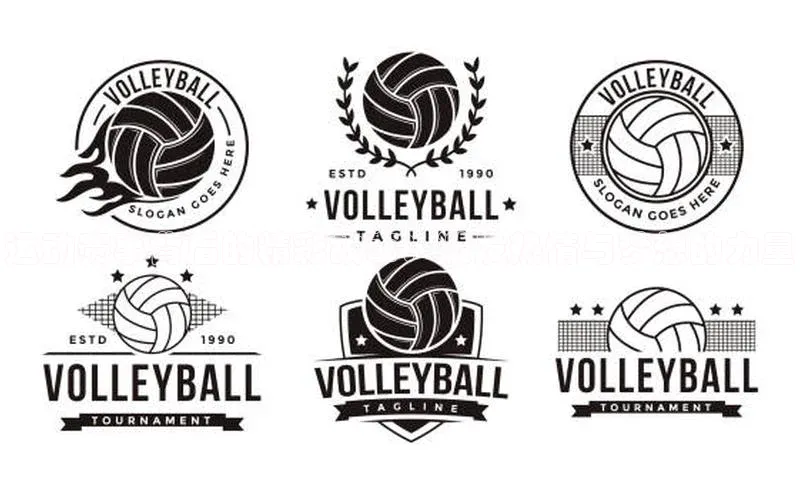 运动赛事背后的精彩故事：激发热情与梦想的力量