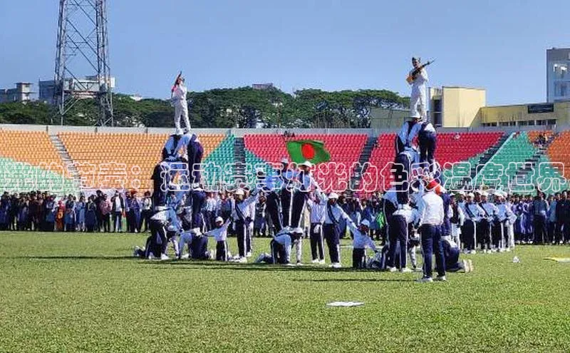 光的节奏：运动赛事灯光的色彩温度世界