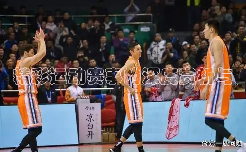 精彩运动赛事的深度赏析与