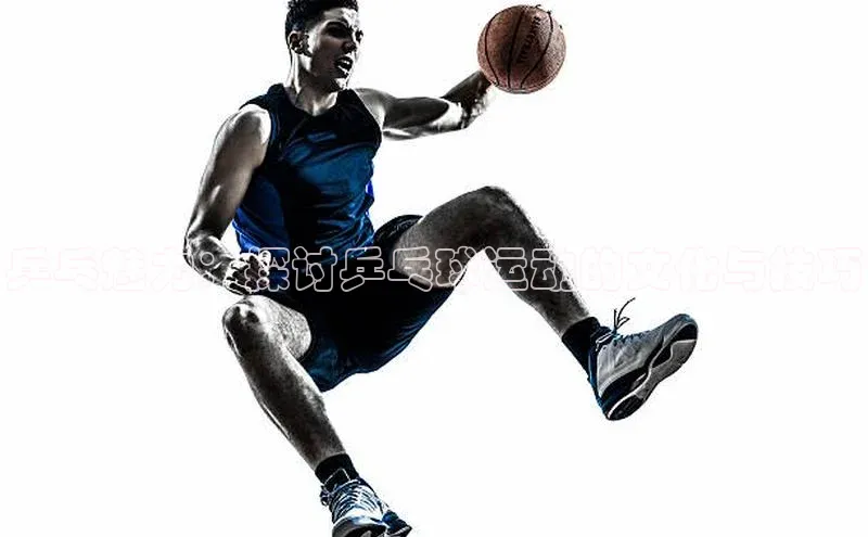 新宝网站登录入口