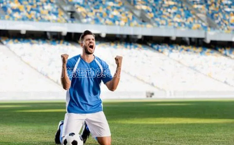 突破极限：引领运动赛事服务公司的创新未来之路