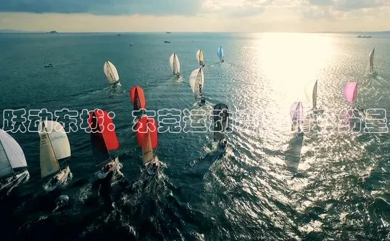 跃动东城：东莞运动赛事精彩纷呈