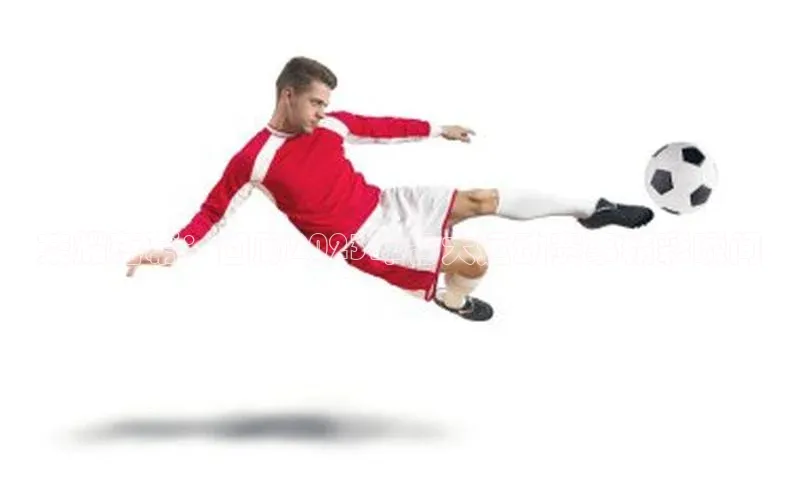 荣耀落幕：回顾2023年各大运动赛事精彩瞬间