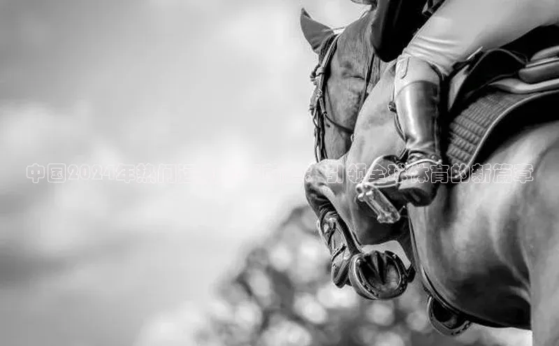 中国2024年热门运动赛事前瞻：引领全球体育的新篇章