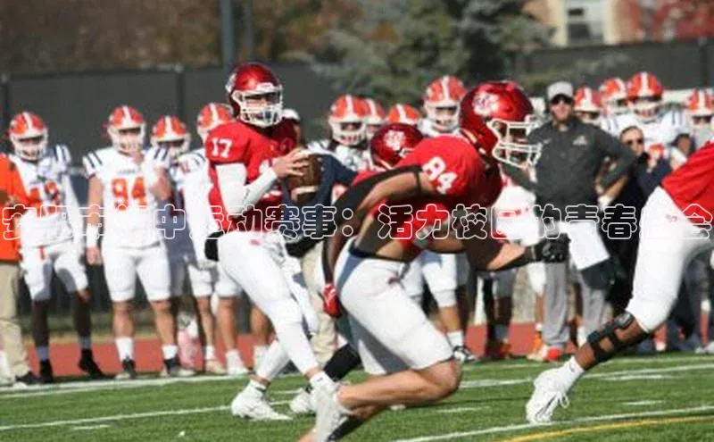 安阳市初中运动赛事：活力校园的青春盛会