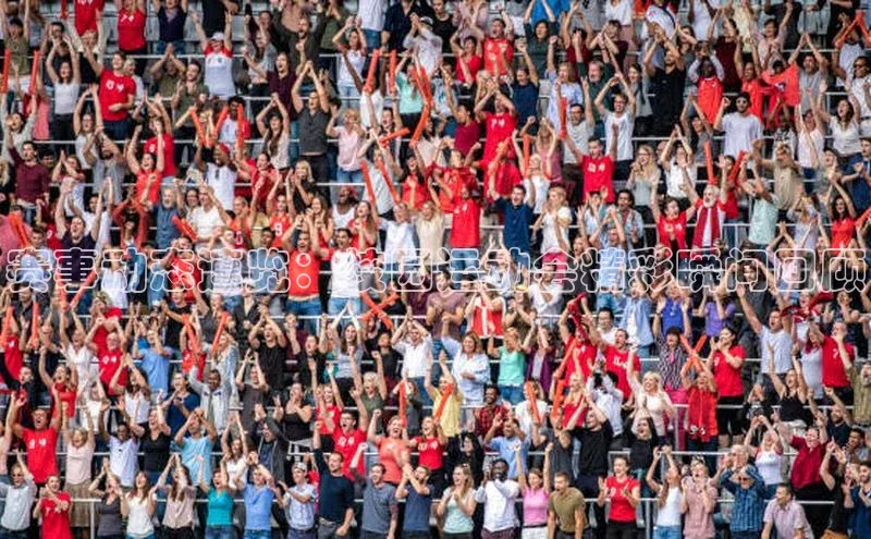 赛事动态速览：校园运动会精彩瞬间回顾