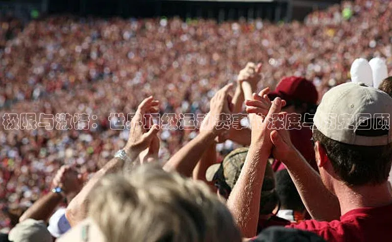 新宝gg创造奇迹官方登录入口