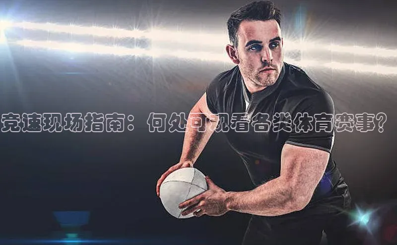 新宝gg平台注册