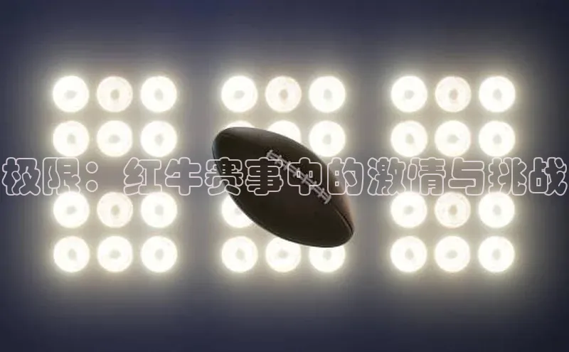 gg网站入口官网