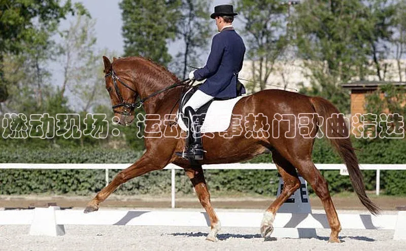 燃动现场：运动赛事热门歌曲精选